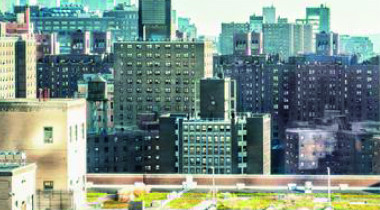 New York, passa la legge che impone i tetti verdi