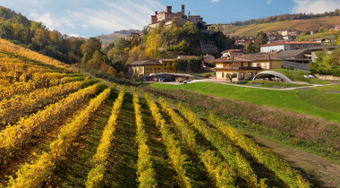 AMPLIAMENTO DELLA CASCINA ADELAIDE