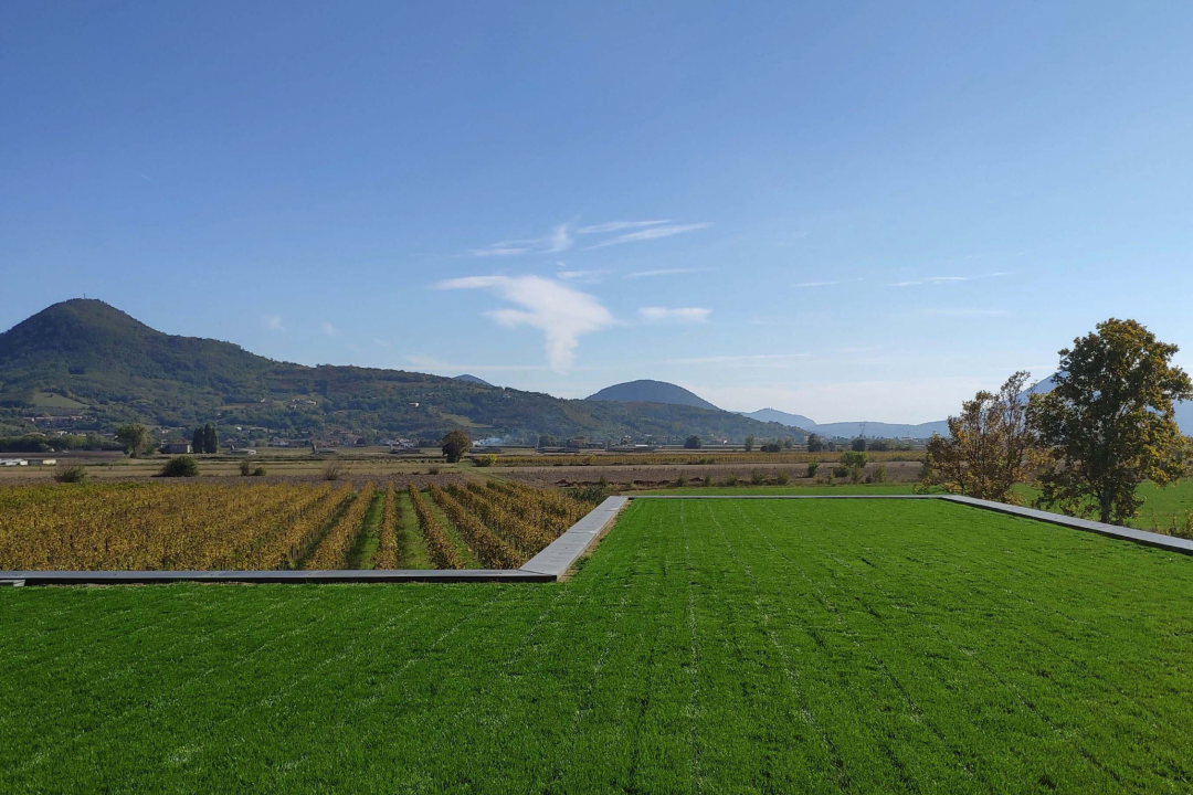 Blue Green Roof