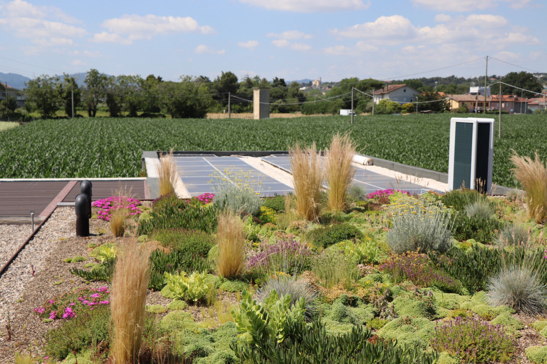 VERDE PENSILE E ENERGIA