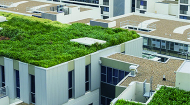 I tetti verdi per la sostenibilità